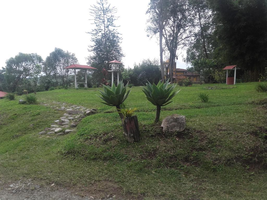 Bed and Breakfast La Gaviota Bnb Filandia Exterior foto